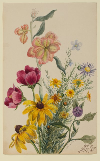 Groep bloemen door Mary Vaux Walcott