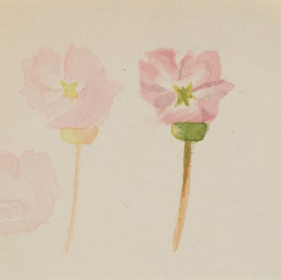 "Mijn eerste schilderij door Mary Vaux Walcott