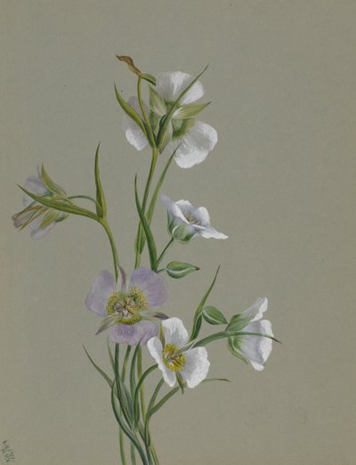 Op weg naar Monument, 1881 door Mary Vaux Walcott
