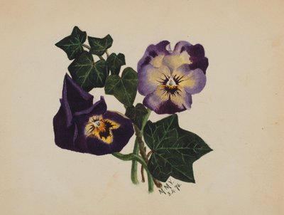 Zonder titel (Viooltjes en klimop) door Mary Vaux Walcott