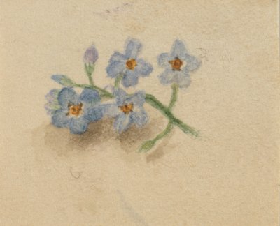 Zonder titel, 1874 door Mary Vaux Walcott