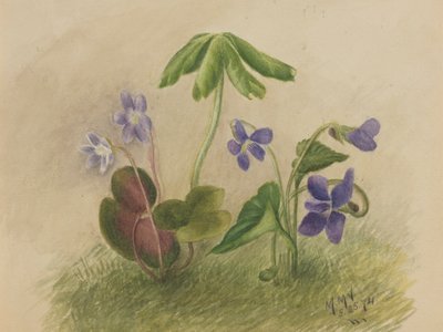 Zonder titel, 1874 door Mary Vaux Walcott