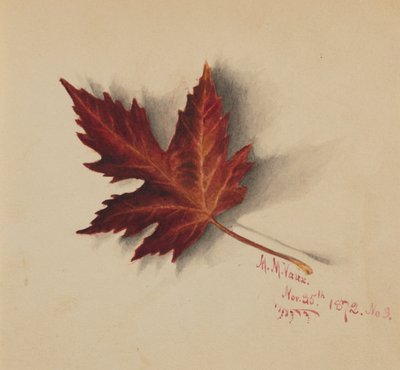 Naamloos herfstblad door Mary Vaux Walcott