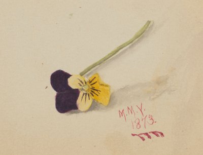 Zonder titel, 1873 door Mary Vaux Walcott