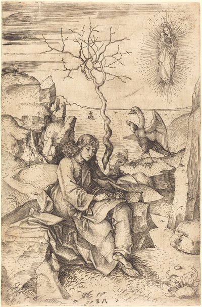 Sint Johannes op Patmos door Master BM