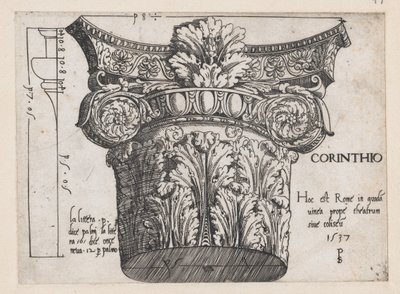 Speculum Romanae Magnificentiae: Korinthisch kapiteel, 1537 door Master PS