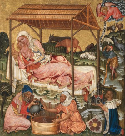 De geboorte van Christus door Master of Hohenfurth