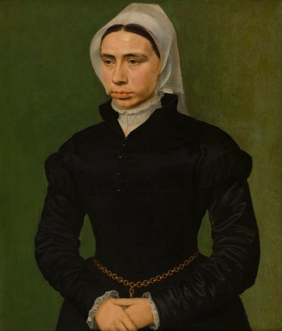 Portret van een dame door Master of the 1540s