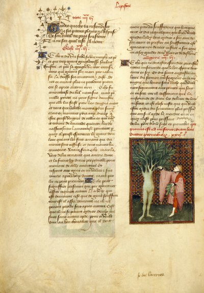 Apollo en Daphne, uit de 