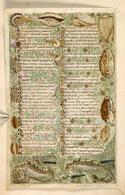Zeedieren, uit een Verhandeling over de Deugden en Ondeugden, en een anonieme prozageschiedenis van Sicilië door Master of the Cocharelli Codex