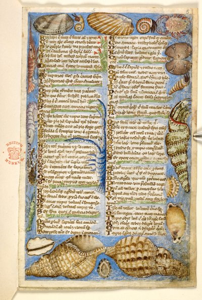 Add. 28841, f.5: Schelpen en zeedier, uit een Verhandeling over de Deugden en Ondeugden, en een anonieme prozageschiedenis van Sicilië (fragment), c.1330-40 door Master of the Cocharelli Codex