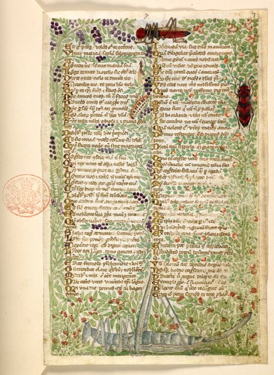 Bloemen, fruit en insecten, waaronder een sprinkhaan en een sprinkhaan, uit een Verhandeling over de Deugden en Ondeugden, en een anonieme prozageschiedenis van Sicilië (fragment) door Master of the Cocharelli Codex