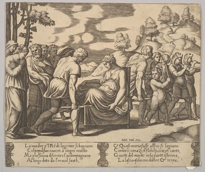 Plaat 5: Psyche gedragen op een draagbaar naar een berg, uit 