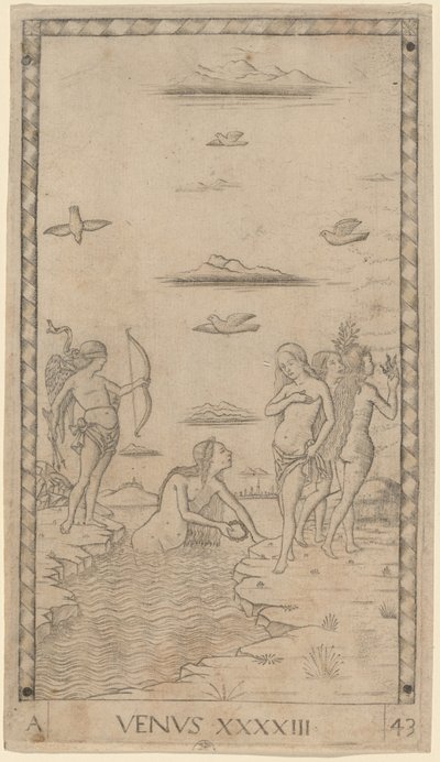 Venus door Master of the E Series Tarocchi