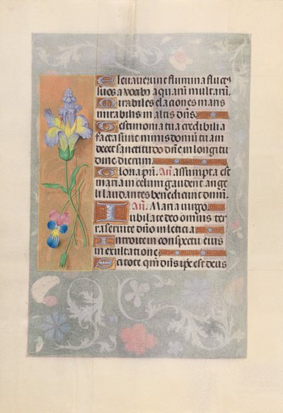 Getijdenboek van koningin Isabella de Katholieke, koningin van Spanje: Fol. 116v, ca. 1500 door Master of the First Prayerbook of Maximillian