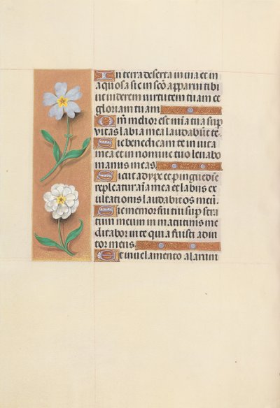 Getijdenboek van koningin Isabella de Katholieke, koningin van Spanje: Fol. 117v, ca. 1500 door Master of the First Prayerbook of Maximillian
