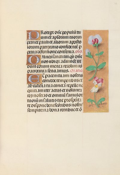 Getijdenboek van Koningin Isabella de Katholieke, Koningin van Spanje: Fol. 125r, ca. 1500 door Master of the First Prayerbook of Maximillian