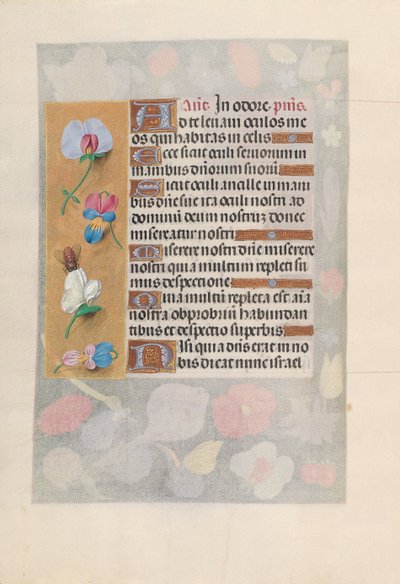 Getijdenboek van koningin Isabella de Katholieke, koningin van Spanje: Fol. 137v door Master of the First Prayerbook of Maximillian