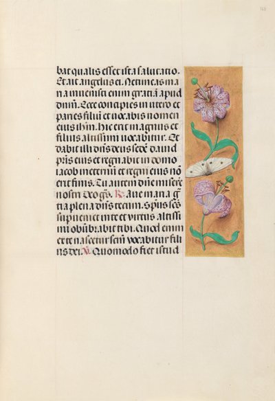 Getijdenboek van koningin Isabella de Katholieke, koningin van Spanje: Fol. 163r, ca. 1500 door Master of the First Prayerbook of Maximillian