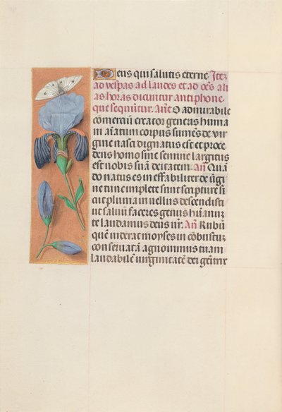 Getijdenboek van Koningin Isabella de Katholieke, Koningin van Spanje: Fol. 165v, ca. 1500 door Master of the First Prayerbook of Maximillian