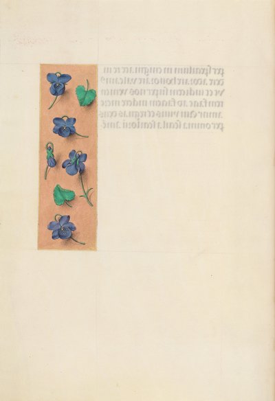 Uren van Koningin Isabella de Katholieke, Koningin van Spanje: Fol. 16v, Korte Rand, ca. 1500 door Master of the First Prayerbook of Maximillian