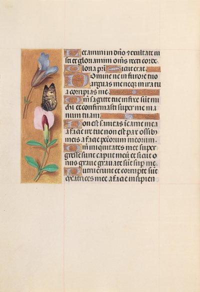 Uren van koningin Isabella de Katholieke, koningin van Spanje: Fol. 202v door Master of the First Prayerbook of Maximillian