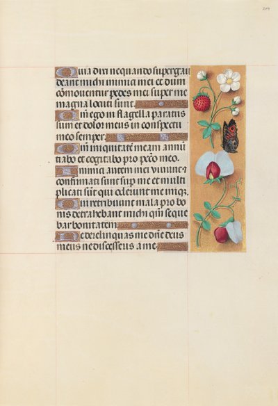 Getijdenboek van koningin Isabella de Katholieke, koningin van Spanje: Fol. 204r door Master of the First Prayerbook of Maximillian