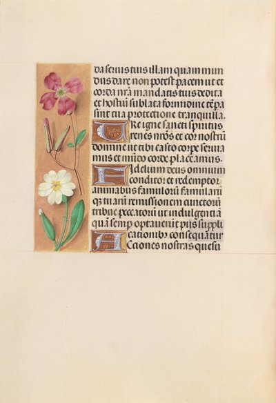 Getijdenboek van Koningin Isabella de Katholieke, Koningin van Spanje: Fol. 217v door Master of the First Prayerbook of Maximillian