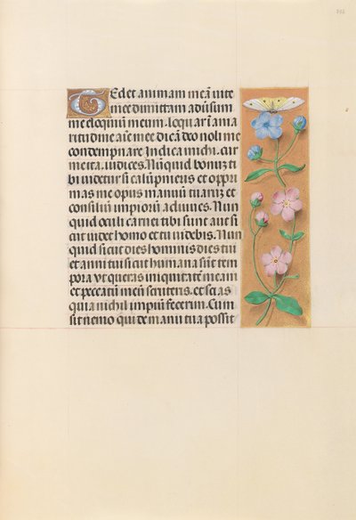 Uren van Koningin Isabella de Katholieke, Koningin van Spanje: Fol. 232r, c. 1500 door Master of the First Prayerbook of Maximillian