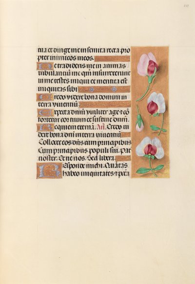 Uren van Koningin Isabella de Katholieke, Koningin van Spanje: Fol. 237r, ca. 1500 door Master of the First Prayerbook of Maximillian