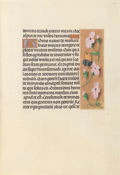Getijdenboek van Koningin Isabella de Katholieke, Koningin van Spanje: Fol. 238r door Master of the First Prayerbook of Maximillian