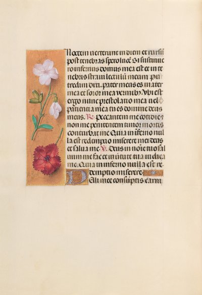 Getijdenboek van Koningin Isabella de Katholieke, Koningin van Spanje: Fol. 244v, ca. 1500 door Master of the First Prayerbook of Maximillian