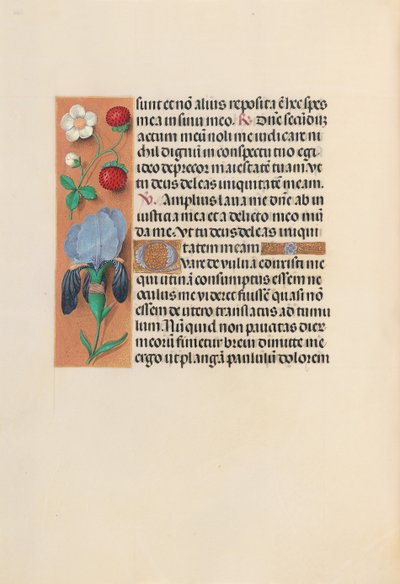 Uren van Koningin Isabella de Katholieke, Koningin van Spanje: Fol. 245v, ca. 1500 door Master of the First Prayerbook of Maximillian