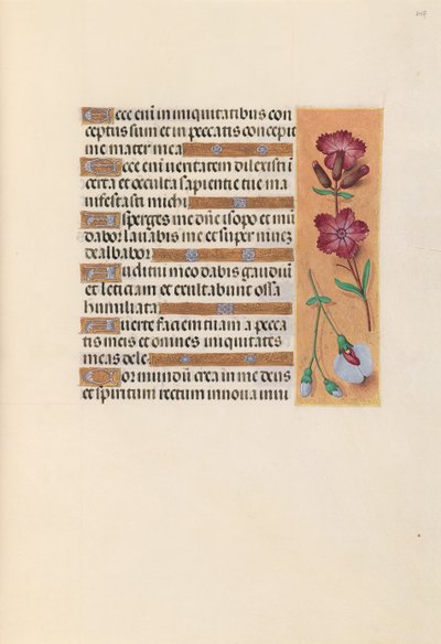 Getijdenboek van Koningin Isabella de Katholieke, Koningin van Spanje: Fol. 247r, c. 1500 door Master of the First Prayerbook of Maximillian