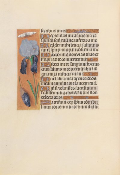 Uren van koningin Isabella de Katholieke, koningin van Spanje: Fol. 247v, ca. 1500 door Master of the First Prayerbook of Maximillian