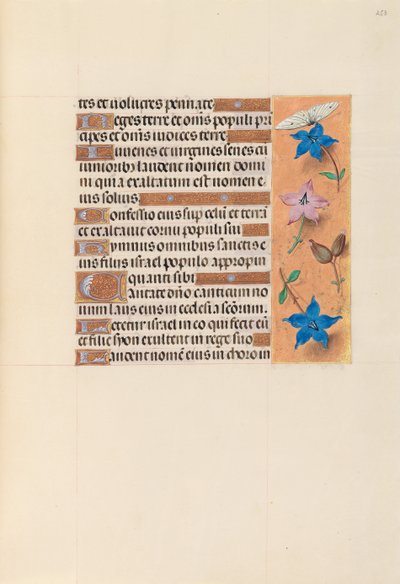 Uren van koningin Isabella de Katholieke, koningin van Spanje: Fol. 253r door Master of the First Prayerbook of Maximillian