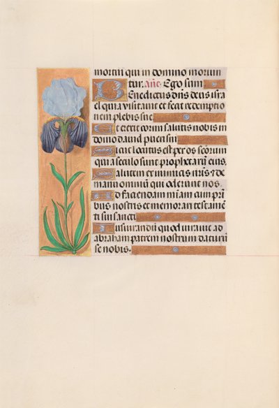 Getijdenboek van Koningin Isabella de Katholieke, Koningin van Spanje: Fol. 254v door Master of the First Prayerbook of Maximillian