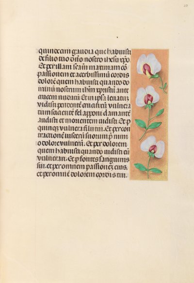 Getijdenboek van koningin Isabella de Katholieke, koningin van Spanje: Fol. 259r, c. 1500 door Master of the First Prayerbook of Maximillian