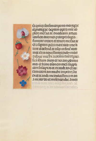 Getijdenboek van koningin Isabella de Katholieke, koningin van Spanje: Fol. 260v, Pietà door Master of the First Prayerbook of Maximillian