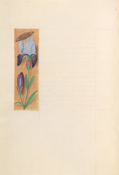 Getijdenboek van koningin Isabella de Katholieke, koningin van Spanje: Fol. 277v, ca. 1500 door Master of the First Prayerbook of Maximillian