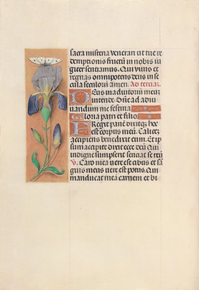 Getijdenboek van Koningin Isabella de Katholieke, Koningin van Spanje: Fol. 45v, ca. 1500 door Master of the First Prayerbook of Maximillian