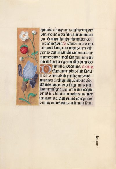 Getijdenboek van Isabella de Katholieke, Koningin van Spanje: Fol. 46v, ca. 1500 door Master of the First Prayerbook of Maximillian