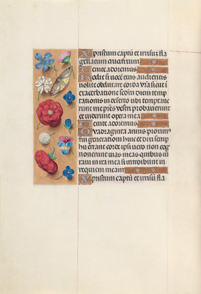 Uren van koningin Isabella de Katholieke, koningin van Spanje: Fol. 51v door Master of the First Prayerbook of Maximillian