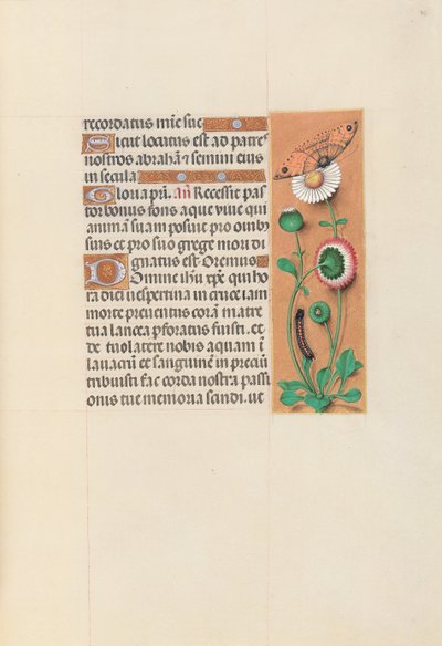 Getijdenboek van koningin Isabella de Katholieke, koningin van Spanje: Fol. 76r, ca. 1500 door Master of the First Prayerbook of Maximillian