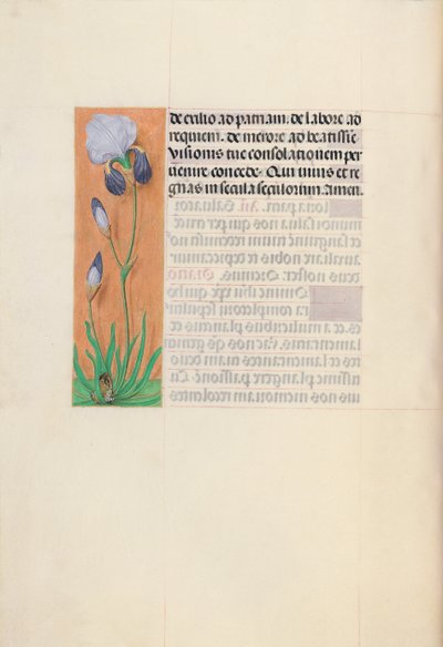 Getijdenboek van koningin Isabella de Katholieke, koningin van Spanje: Fol. 79v, ca. 1500 door Master of the First Prayerbook of Maximillian