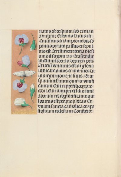 Getijdenboek van koningin Isabella de Katholieke, koningin van Spanje: Fol. 91v door Master of the First Prayerbook of Maximillian