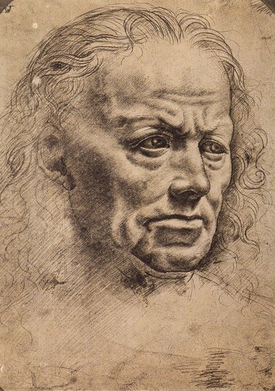 Hoofd van een man door Master of the Pala Sforzesca