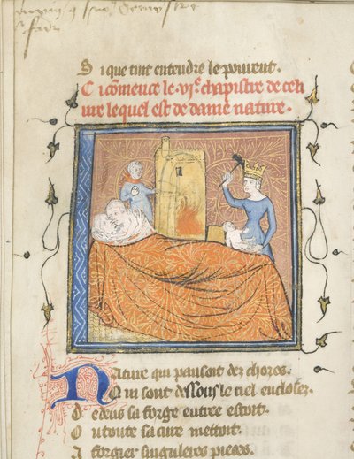 Miniatuur uit een manuscript van de Roman de la Rose door Guillaume de Lorris en Jean de Meun, ca. 1365 door Master of the Rose novels