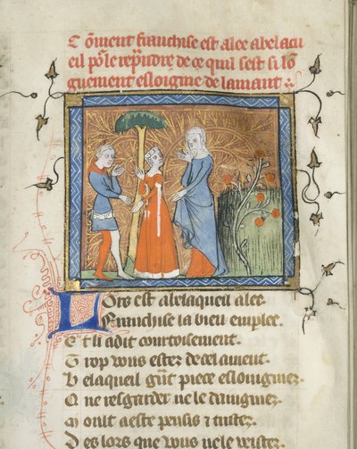 Miniatuur uit een manuscript van de Roman de la Rose door Guillaume de Lorris en Jean de Meun door Master of the Rose novels