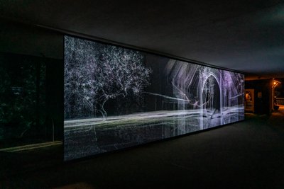 Echolocatie, 2021 (3-kanaals videoprojectie op polypropyleen gaas) door Mat Collishaw